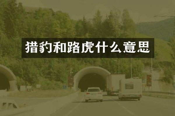 猎豹和路虎什么意思