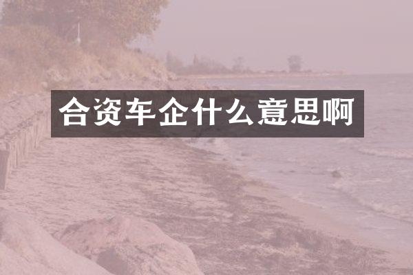 合资车企什么意思啊