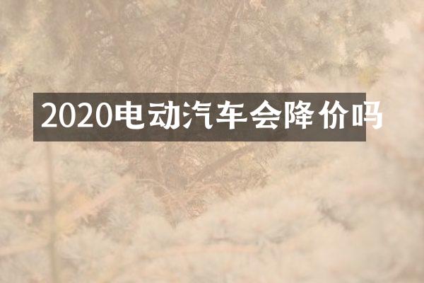 2020电动汽车会降价吗