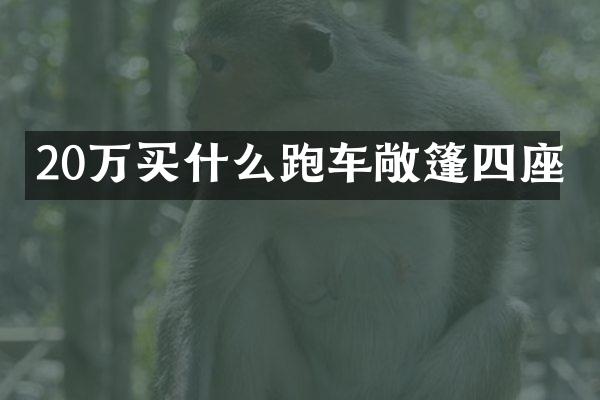 20万跑车敞篷四座