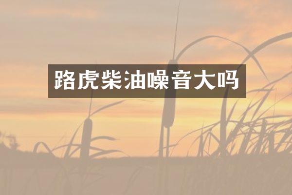 路虎柴油噪音大吗
