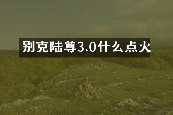 别克陆尊3.0什么点火