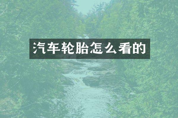 汽车轮胎怎么看的