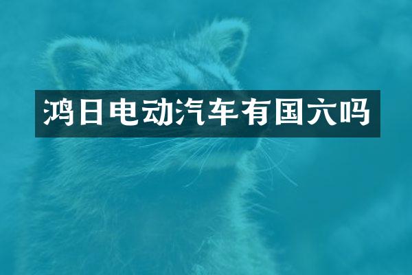 鸿日电动汽车有国六吗