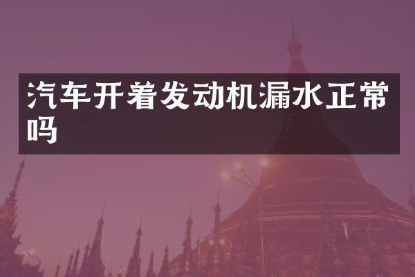 汽车开着发动机漏水正常吗