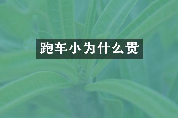 跑车小为什么贵