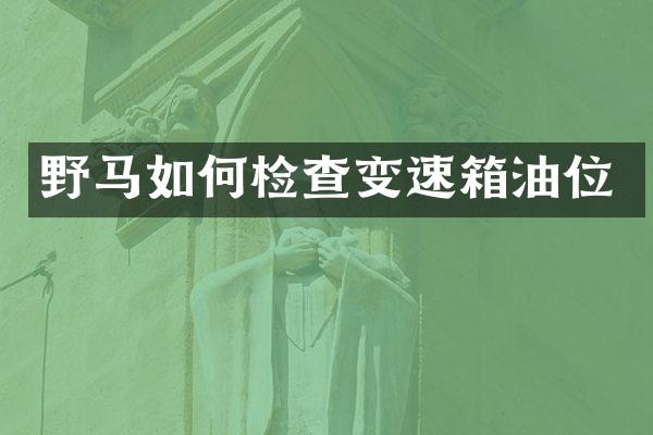 野马如何检查变速箱油位