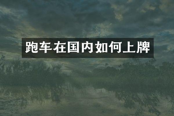 跑车在国内如何上牌