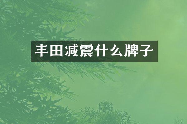 丰田减震什么牌子