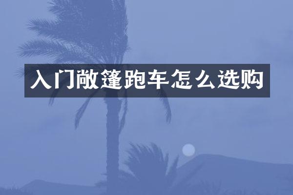 入门敞篷跑车怎么选购