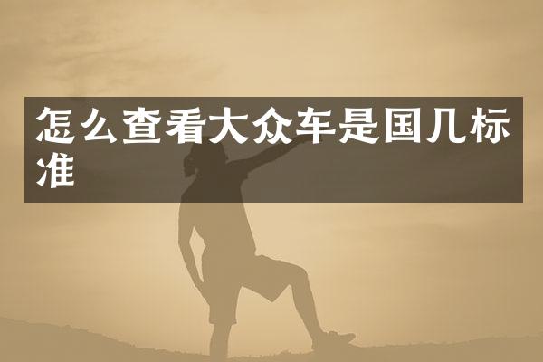 怎么查看大众车是国几标准