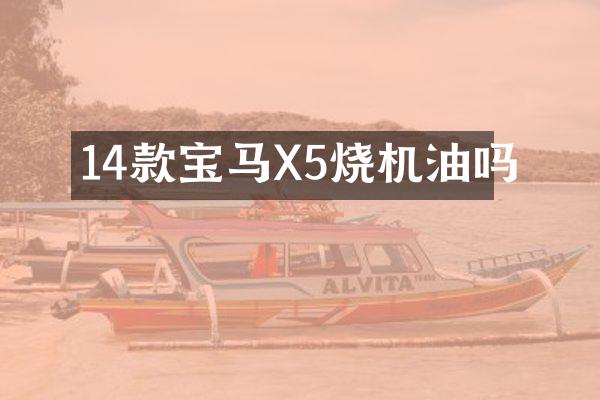 14款宝马X5烧机油吗