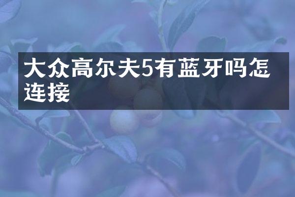 大众高尔夫5有蓝牙吗怎么连接