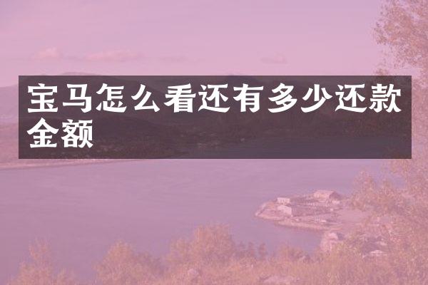 宝马怎么看还有多少还款金额