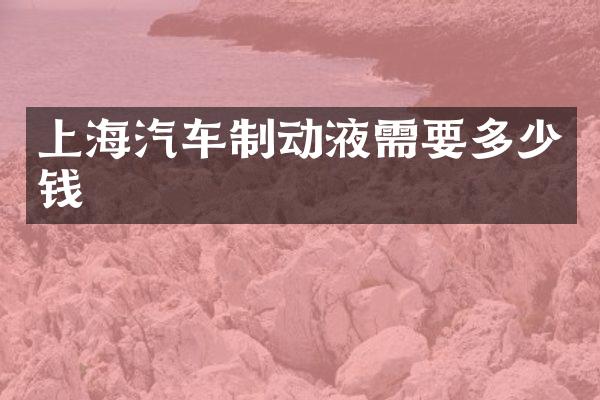 上海汽车制动液需要多少钱