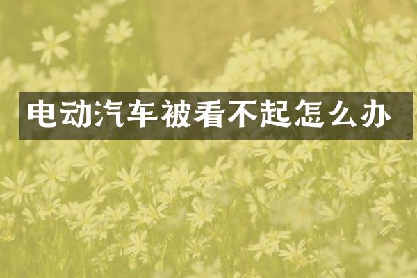 电动汽车被看不起怎么办
