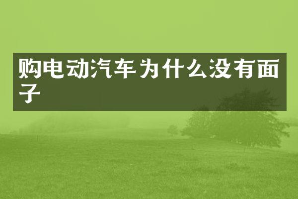 购电动汽车为什么没有面子