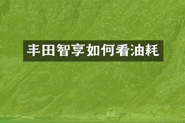 丰田智享如何看油耗