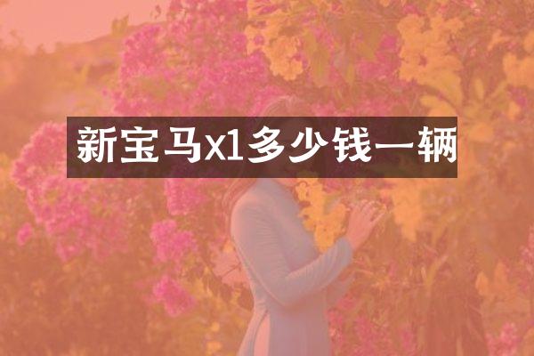 新宝马x1多少钱一辆