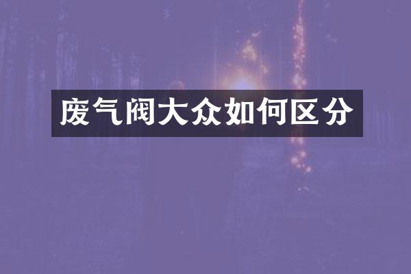 废气阀大众如何区分