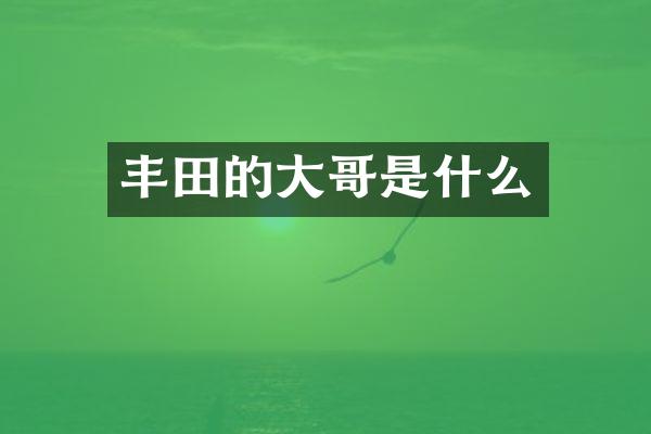 丰田的大哥是什么
