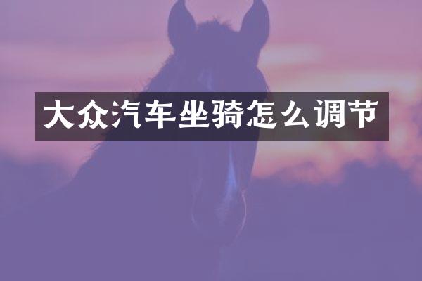大众汽车坐骑怎么调节