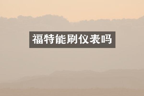 福特能刷仪表吗