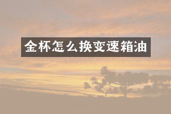 金杯怎么换变速箱油