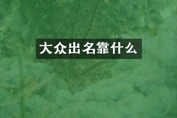 大众出名靠什么