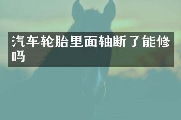 汽车轮胎里面轴断了能修吗