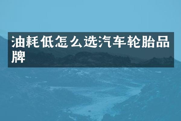 油耗低怎么选汽车轮胎品牌
