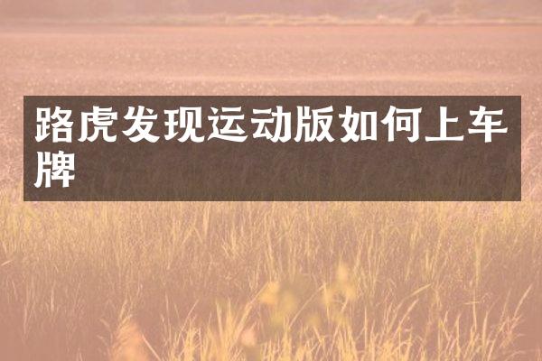 路虎发现运动版如何上车牌
