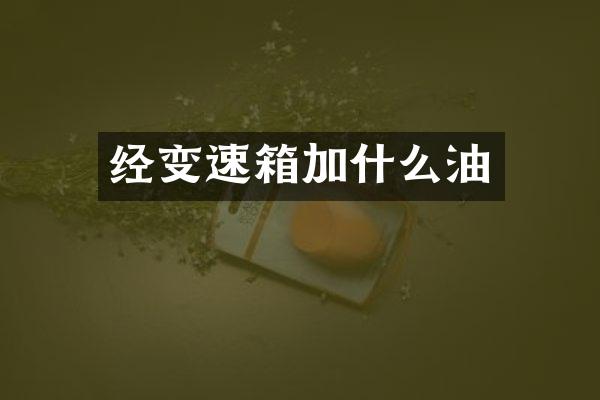 经变速箱加什么油
