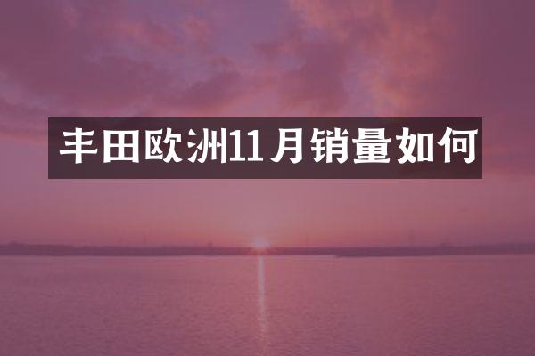 丰田欧洲11月销量如何