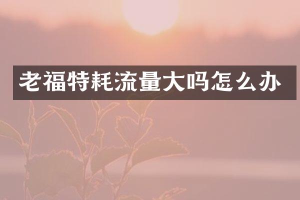 老福特耗流量大吗怎么办