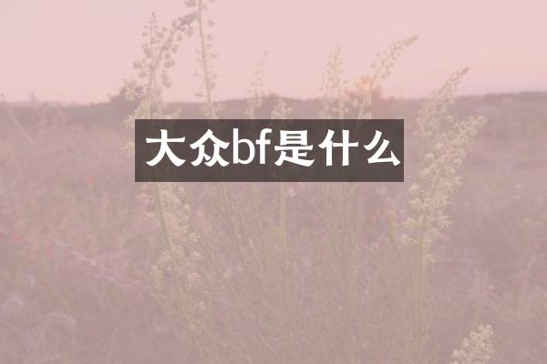 大众bf是什么
