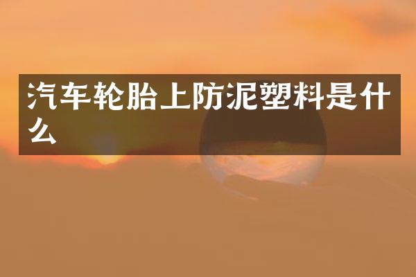 汽车轮胎上防泥塑料是什么