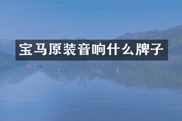 宝马原装音响什么牌子