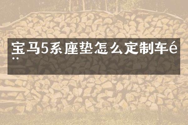 宝马5系座垫怎么定制车门