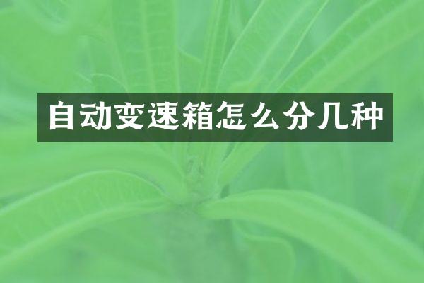 自动变速箱怎么分几种