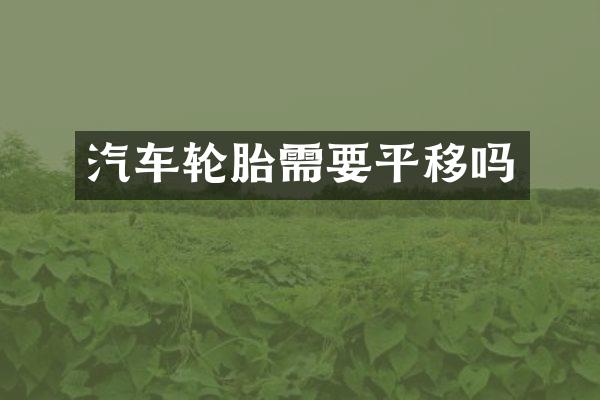 汽车轮胎需要平移吗