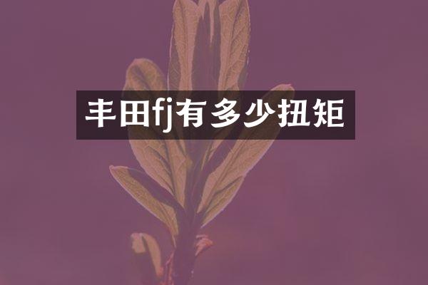 丰田fj有多少扭矩