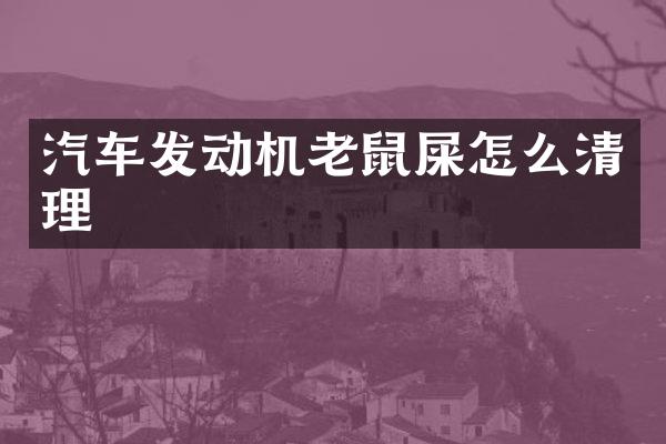 汽车发动机老鼠屎怎么清理