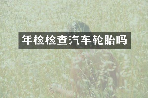 年检检查汽车轮胎吗