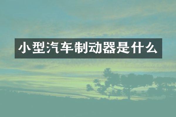 小型汽车制动器是什么