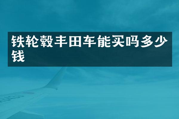 铁轮毂丰田车能买吗多少钱
