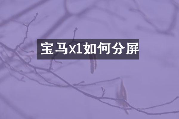 宝马x1如何分屏
