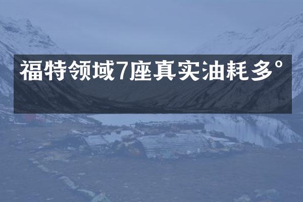 福特领域7座真实油耗多少