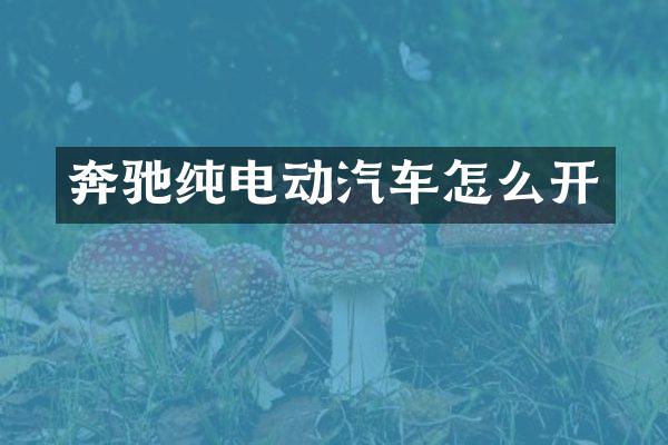 奔驰纯电动汽车怎么开