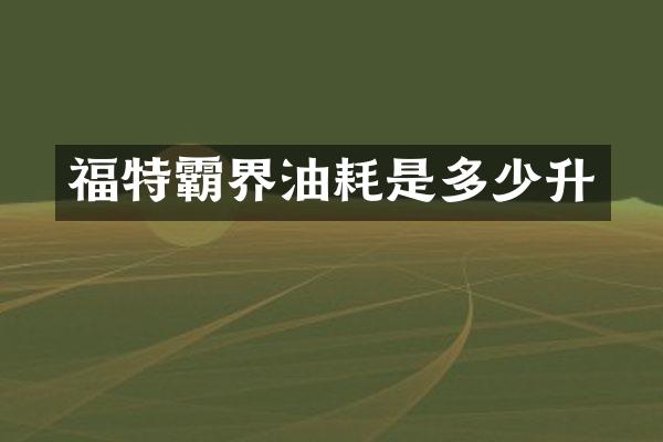 福特霸界油耗是多少升